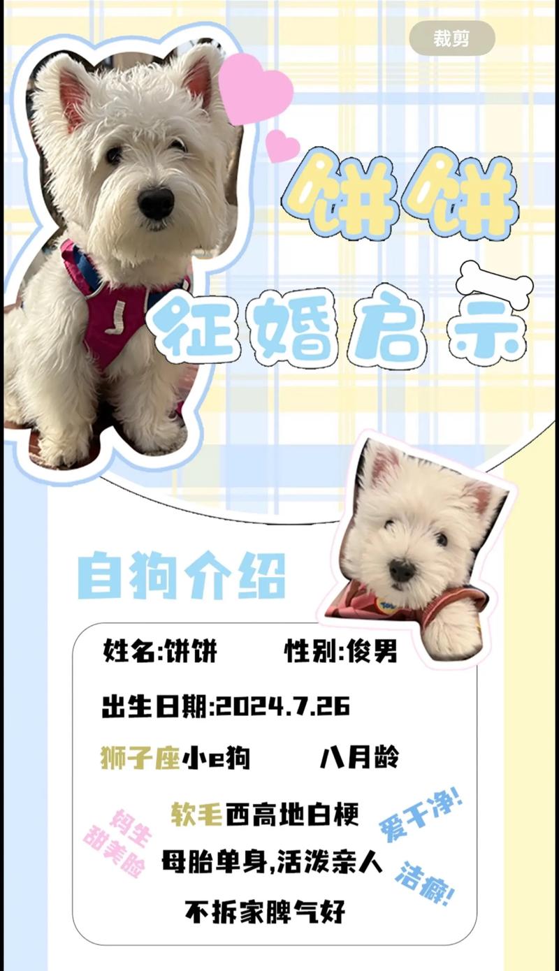 大龄单身相亲